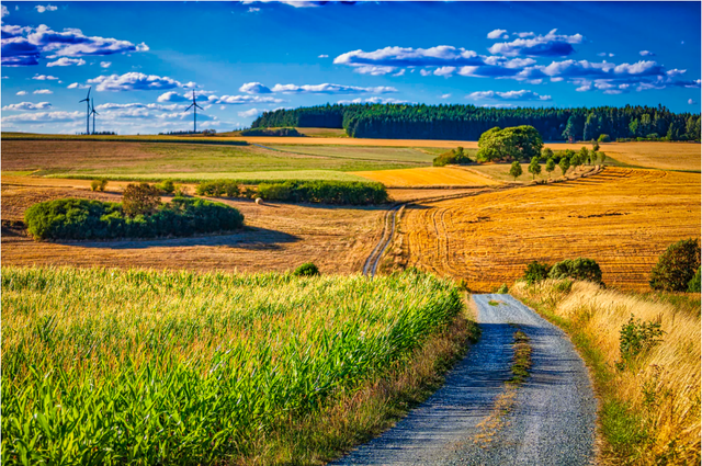 江苏财政下达减煤奖补4亿元 确保实现减煤指标