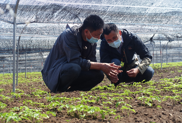 绿水青山在 金山银山来