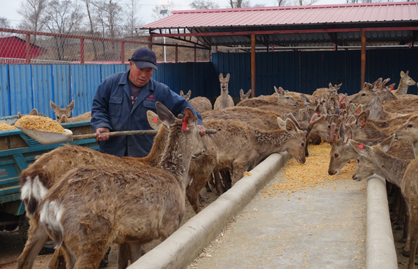 绿水青山在 金山银山来